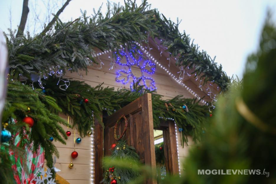 Погода на 25 декабря: морозно, местами небольшой снег в Могилевской области