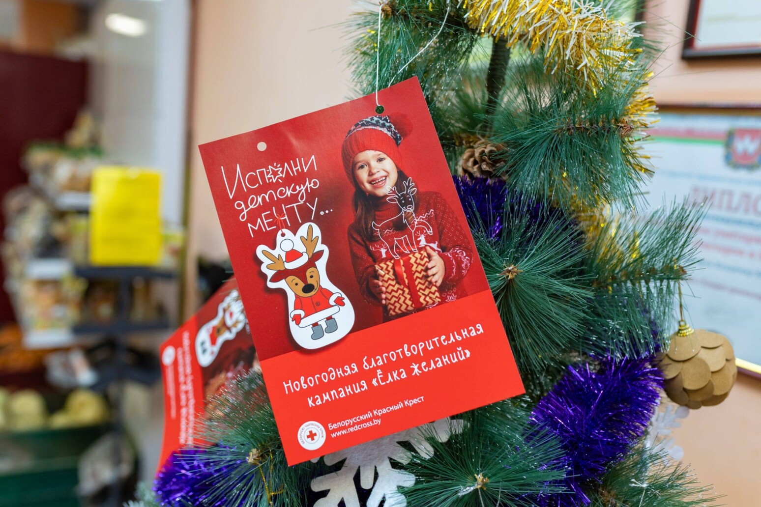 Помочь может каждый: Белорусский Красный Крест запустил благотворительную акцию «Елка желаний»