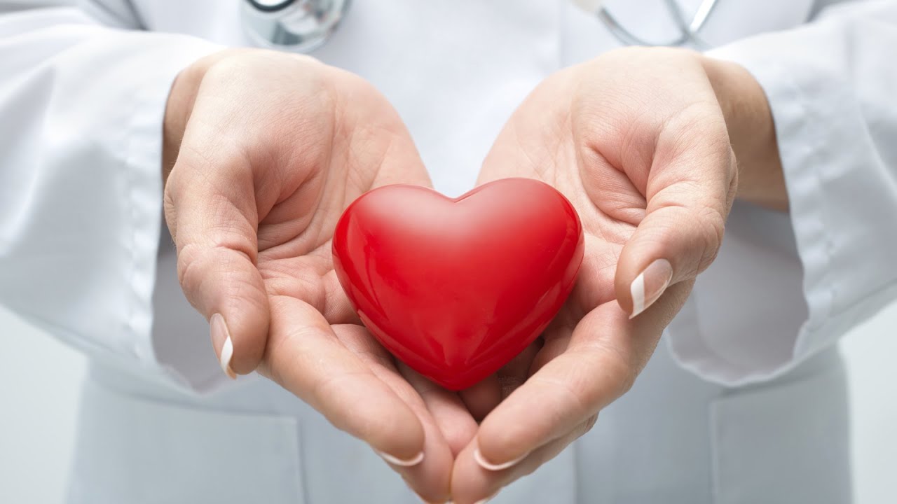 Жители Могилева и Бобруйска могут принять участие в донорской акции. Рассказываем, где добровольно сдать кровь