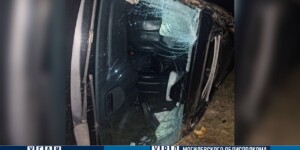 Иномарка опрокинулась в кювет под Чериковом: пострадали четверо