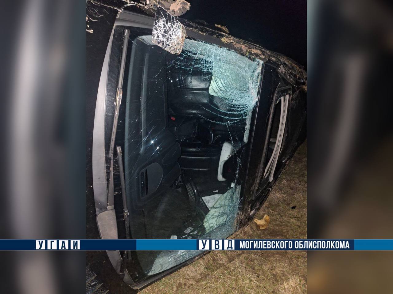 Иномарка опрокинулась в кювет под Чериковом: пострадали четверо