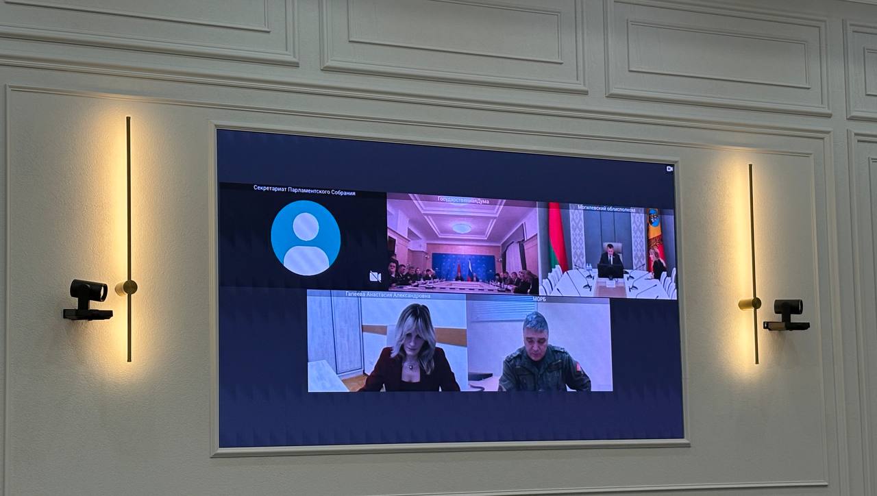 Сохранение и защита исторической памяти. Подробности видео-конференции в Могилеве