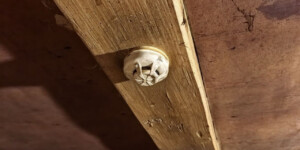 Вовремя проснулись: сигнал датчика помог избежать трагедии в Круглянском районе