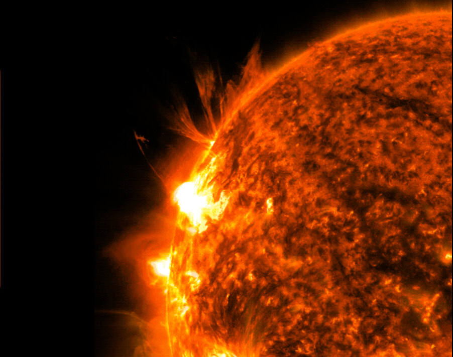 На Солнце появилось рекордное пятно — грозит ли Земле мощная магнитная буря?