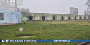 Раскрыта схема сокрытия падежа скота в сельхозпредприятии Кличевского района