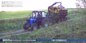 Преступную схему воровства леса вскрыли в Бобруйском районе