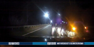 «Даже не пытался получить»: задержан пьяный водитель, никогда не имевший водительских прав