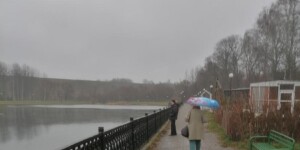 Погода на 8 декабря: днем без осадков и около 0°С ожидается в Могилевской области