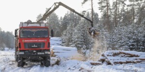 Морозная погода дала старт для разработки труднодоступных лесосек в Быховском районе. Фото