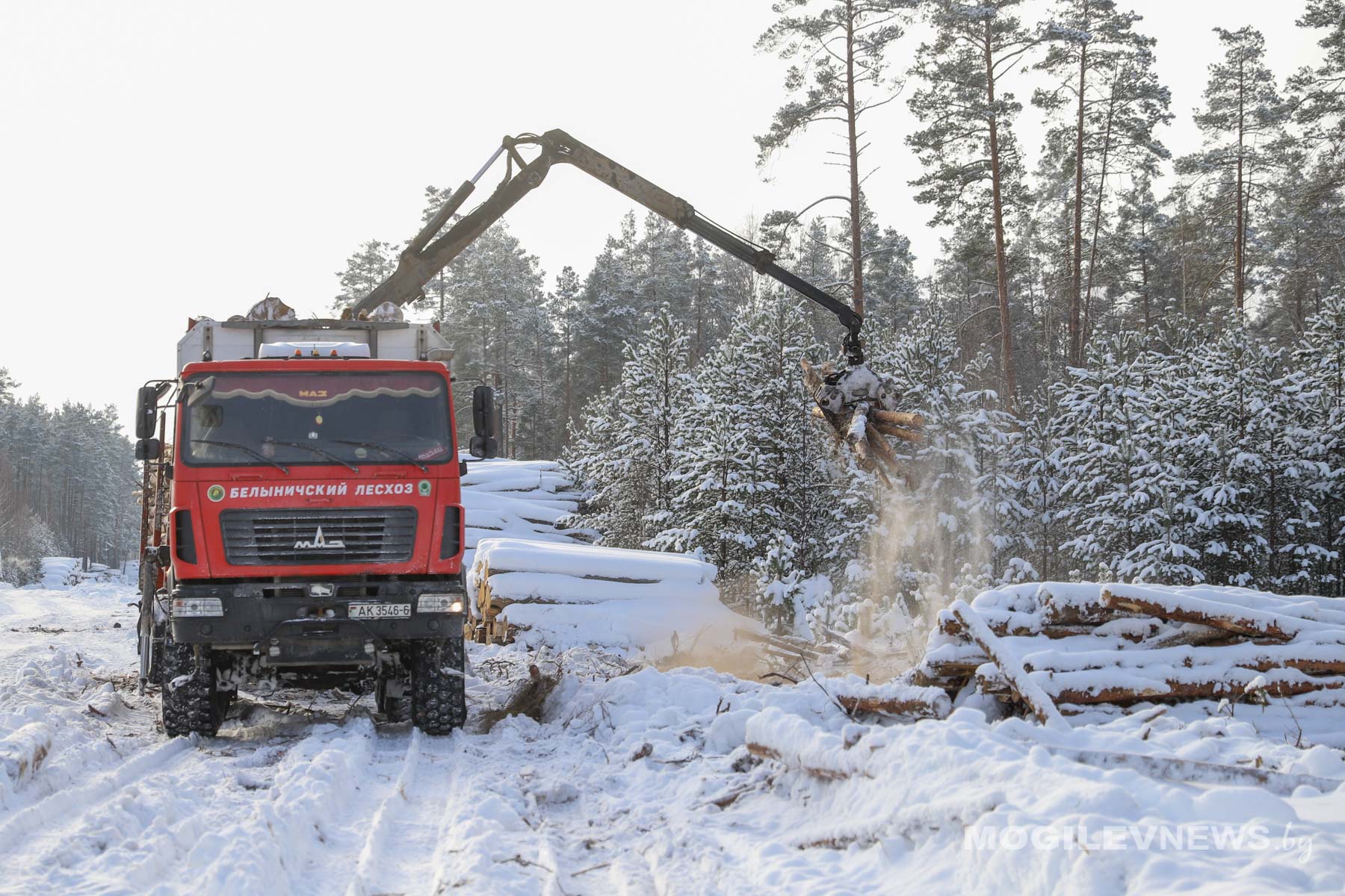 Морозная погода дала старт для разработки труднодоступных лесосек в Быховском районе. Фото