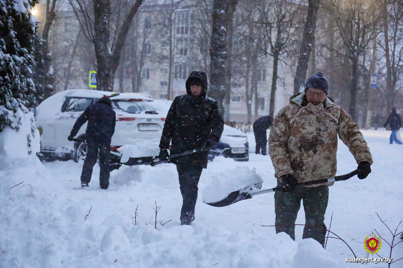По следам «Улли»: судебные эксперты Могилевщины вышли на борьбу со снегом