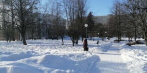 Погода на 6 января: днем местами сильный снег и пока не ниже -7°С в Могилевской области