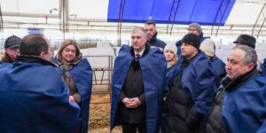 На Могилевщине прошел республиканский семинар-совещание. Узнали, где функционируют профилактории для молодняка КРС из облегченных конструкций. Фото