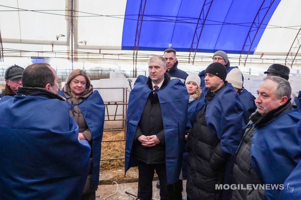 На Могилевщине прошел республиканский семинар-совещание. Узнали, где функционируют профилактории для молодняка КРС из облегченных конструкций. Фото