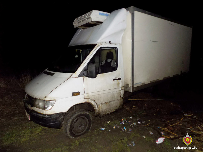 Десять транспортных средств за раз: ночная прогулка быховчанина закончилась уголовным делом