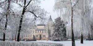 Погода на выходные: снова суровый «минус» ночью, порывистый ветер и немного осадков в Могилевской области