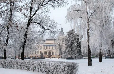 Погода на выходные: снова суровый «минус» ночью, порывистый ветер и немного осадков в Могилевской области