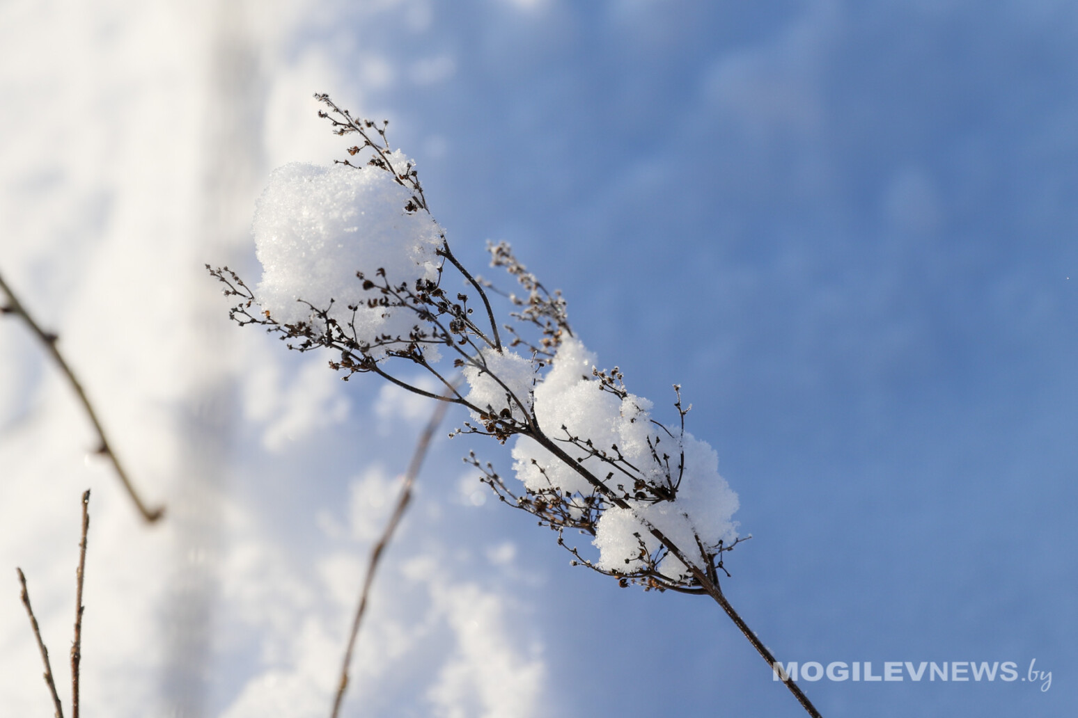 Погода на 17 января: серьезный «минус» ночью, днем местами -16°С и без осадков в Могилевской области