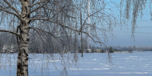 Морозный день в Могилеве. Фото