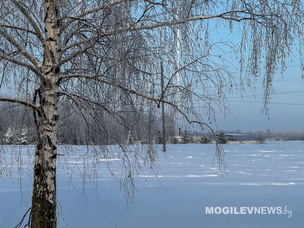 Морозный день в Могилеве. Фото