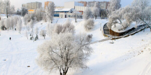 Погода на 14 января: преимущественно без осадков и мороз в Могилевской области