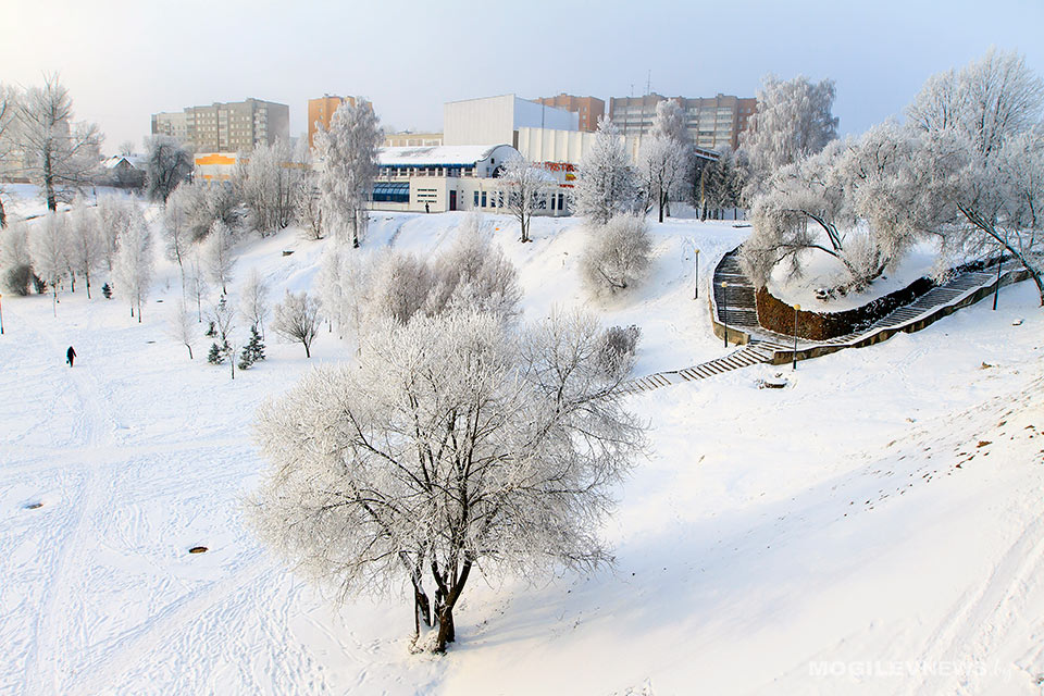 Погода на 14 января: преимущественно без осадков и мороз в Могилевской области