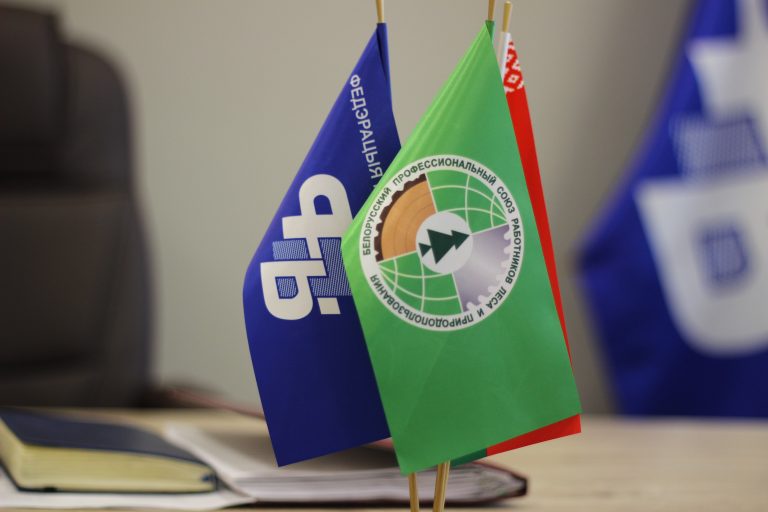 Более 1 млн рублей вернули работникам: профсоюз работников леса подвел итоги правозащитной работы в Могилевской области