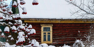 До -27°С ночью и около -10°С в дневные часы ожидается в начале следующей недели в Могилевской области