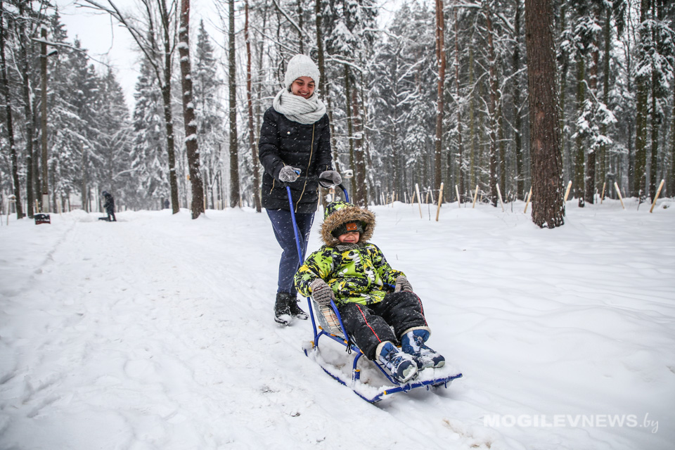 Погода на 22 января: небольшое потепление и кратковременные осадки в дневные часы в Могилевской области