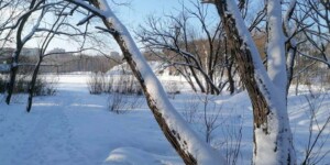 Погода на 21 января: солнце, преимущественно без осадков и около -10°С днем в Могилевской области