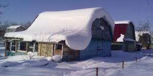 Опасный снег на крышах и деревьях: МЧС призывает усилить меры безопасности