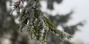 Погода на 11 января: морозы усилятся, небольшой снег и гололедица