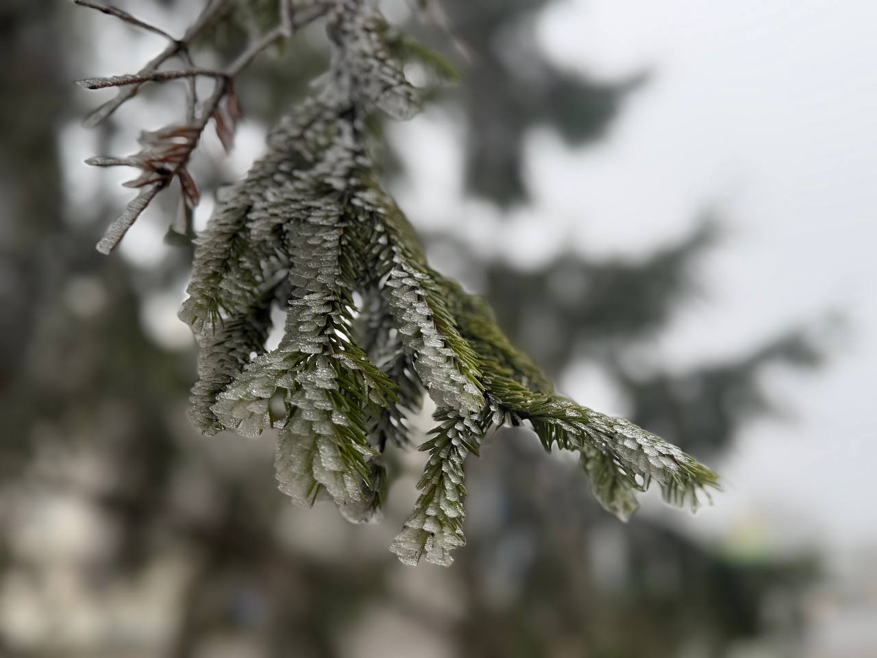 Погода на 11 января: морозы усилятся, небольшой снег и гололедица