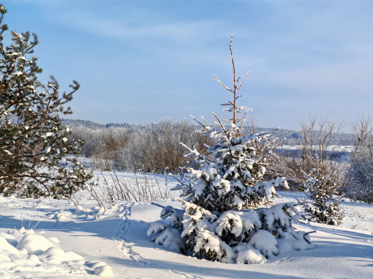 Морозы до –28°С, гололед и без осадков будет в Могилевской области 1 февраля