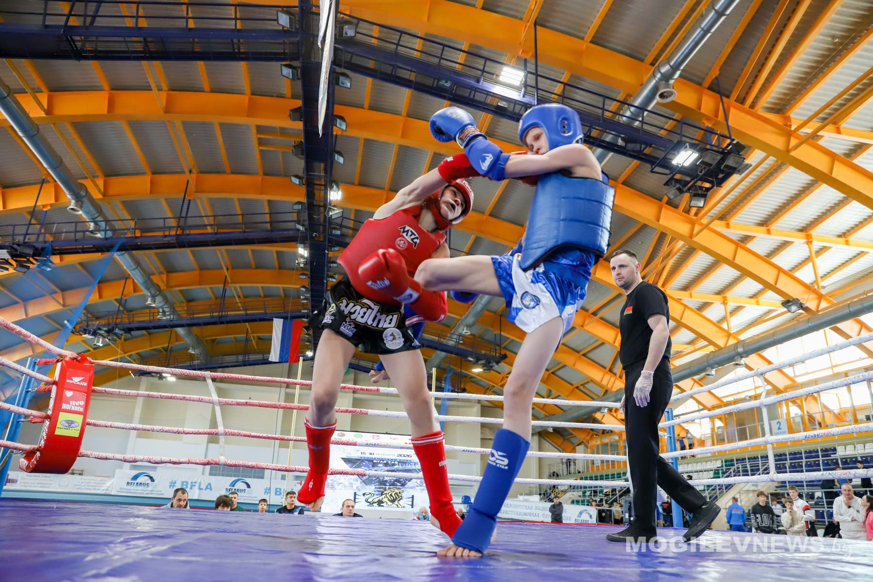 «Золотой лев» зарычал: почти 500 бойцов собрались на турнир по муай-тай в Могилеве