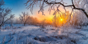 Макар-весноуказчик: по погоде 1 февраля предсказывали весну. А что за окном у вас?