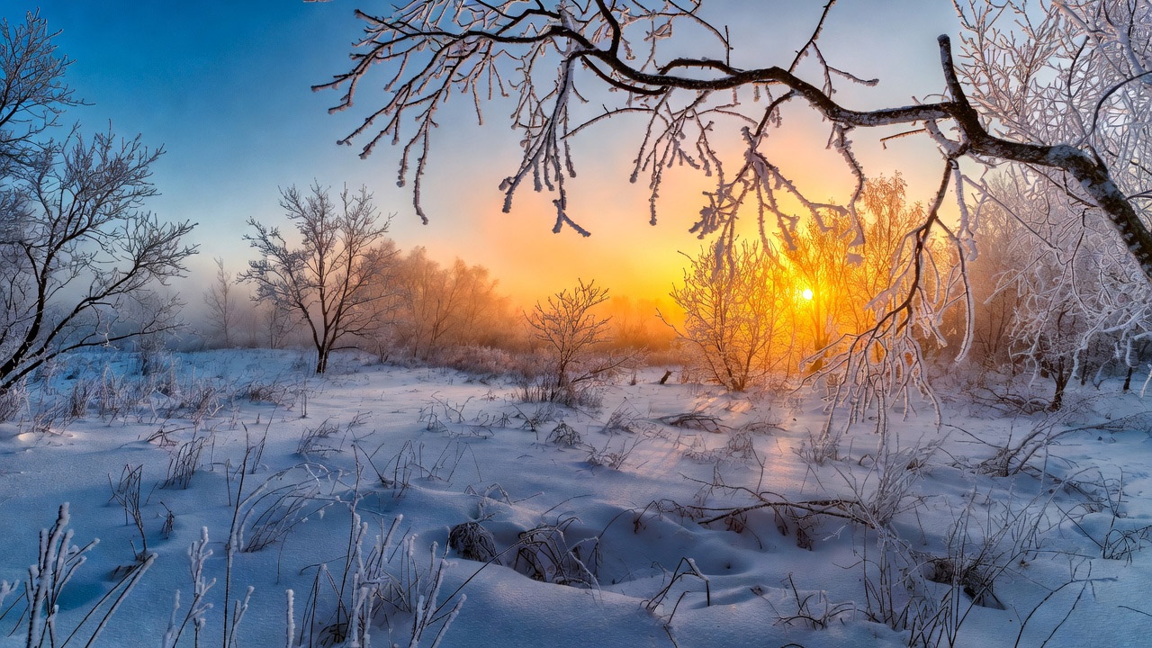 Макар-весноуказчик: по погоде 1 февраля предсказывали весну. А что за окном у вас?