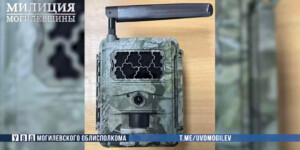 «Поймал» фотоловушку: житель Бобруйска украл камеру для слежки за животными