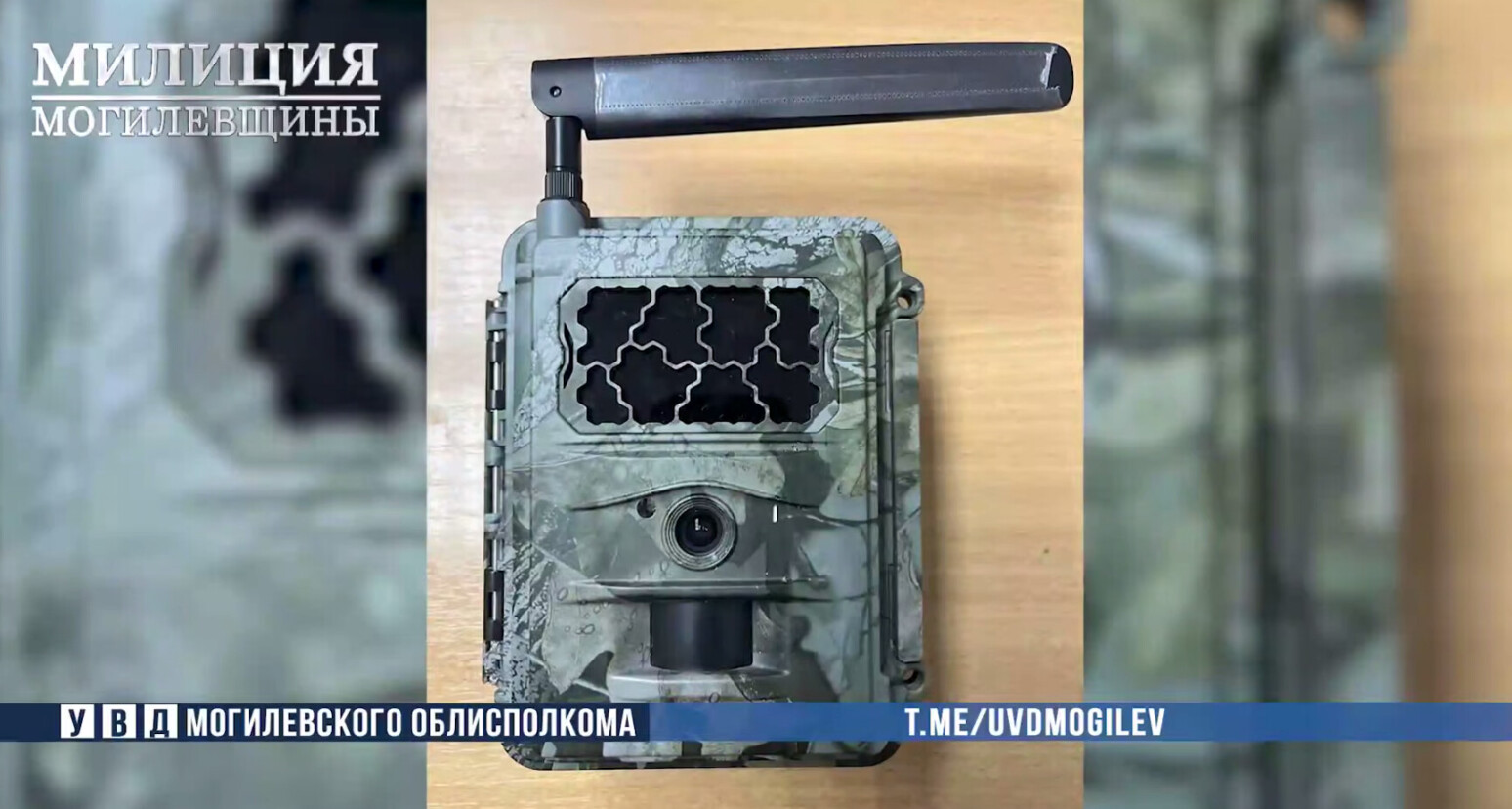 «Поймал» фотоловушку: житель Бобруйска украл камеру для слежки за животными