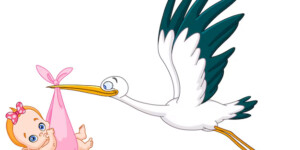 Первый ребенок 2026 года в Могилеве появился на свет сразу после боя курантов