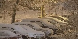 Погода на 30 января: похолодание и по-прежнему скользко в Могилевской области