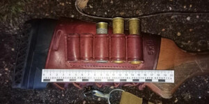 На Могилевщине вдвое вырос ущерб от незаконной охоты