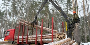 «Экватор пройден»: гендиректор Могилевского ГПЛХО о темпах заготовки древесины в морозы