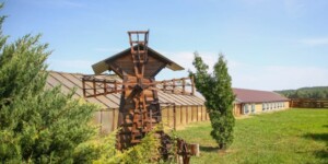 Ставка сбора за предоставление услуг агроусадеб в 2026 году: есть нюанс