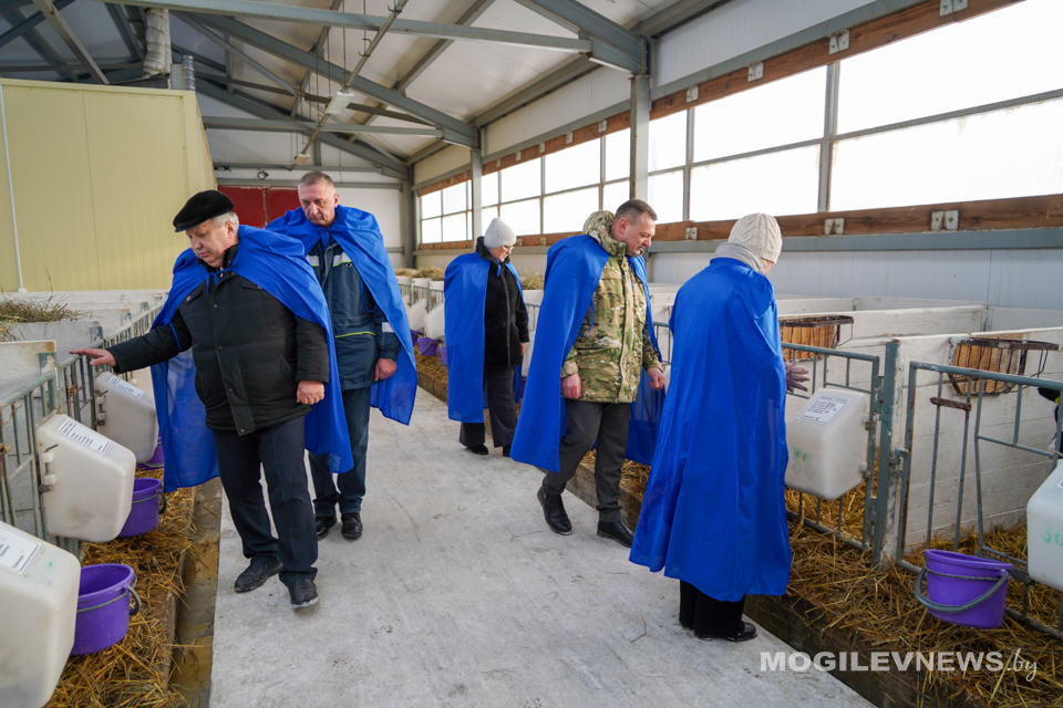 Как сохранить поголовье: рабочая группа облисполкома проверила условия содержания молодняка на МТК «Энергетик». Фото