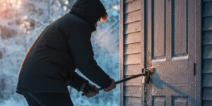 Сорвал замок и продал онлайн: 18-летний рецидивист обокрал дачу в Могилевском районе