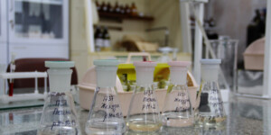 Смертельные отравления метанолом: два в Кричеве, один — в Бобруйском районе