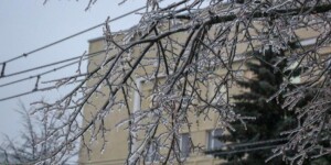 Погода на 26 февраля: скользко, до -11°С ночью, около 0°С днем в Могилевской области