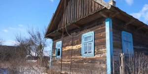 В Беларуси рекордный спрос на брошенные сельские хаты — за сколько теперь можно купить дом в деревне?