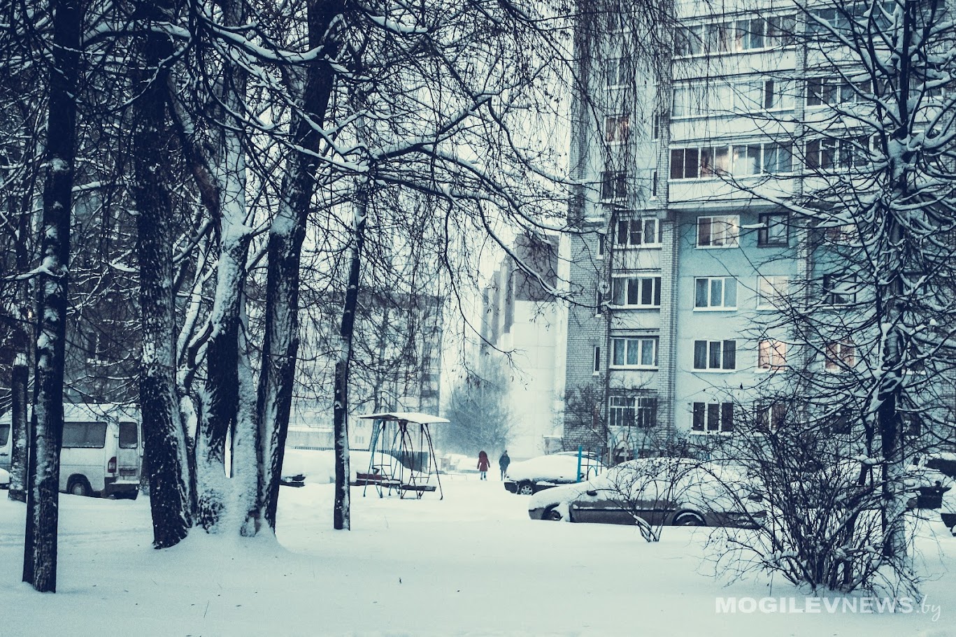 Мороз, туман и гололедица ожидаются в Могилевской области в субботу, 21 февраля